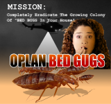 Oplan Bed Bugs 3