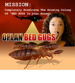 Oplan Bed Bugs 2