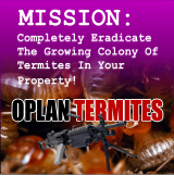 Oplan Termites 3