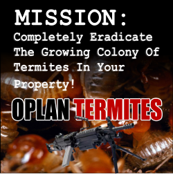 Oplan Termites 2