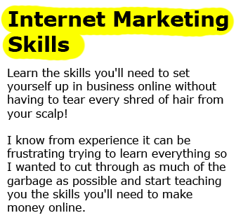 Learn the skills you'll need to set yourself up in business online without having to tear every shred of hair from your scalp!