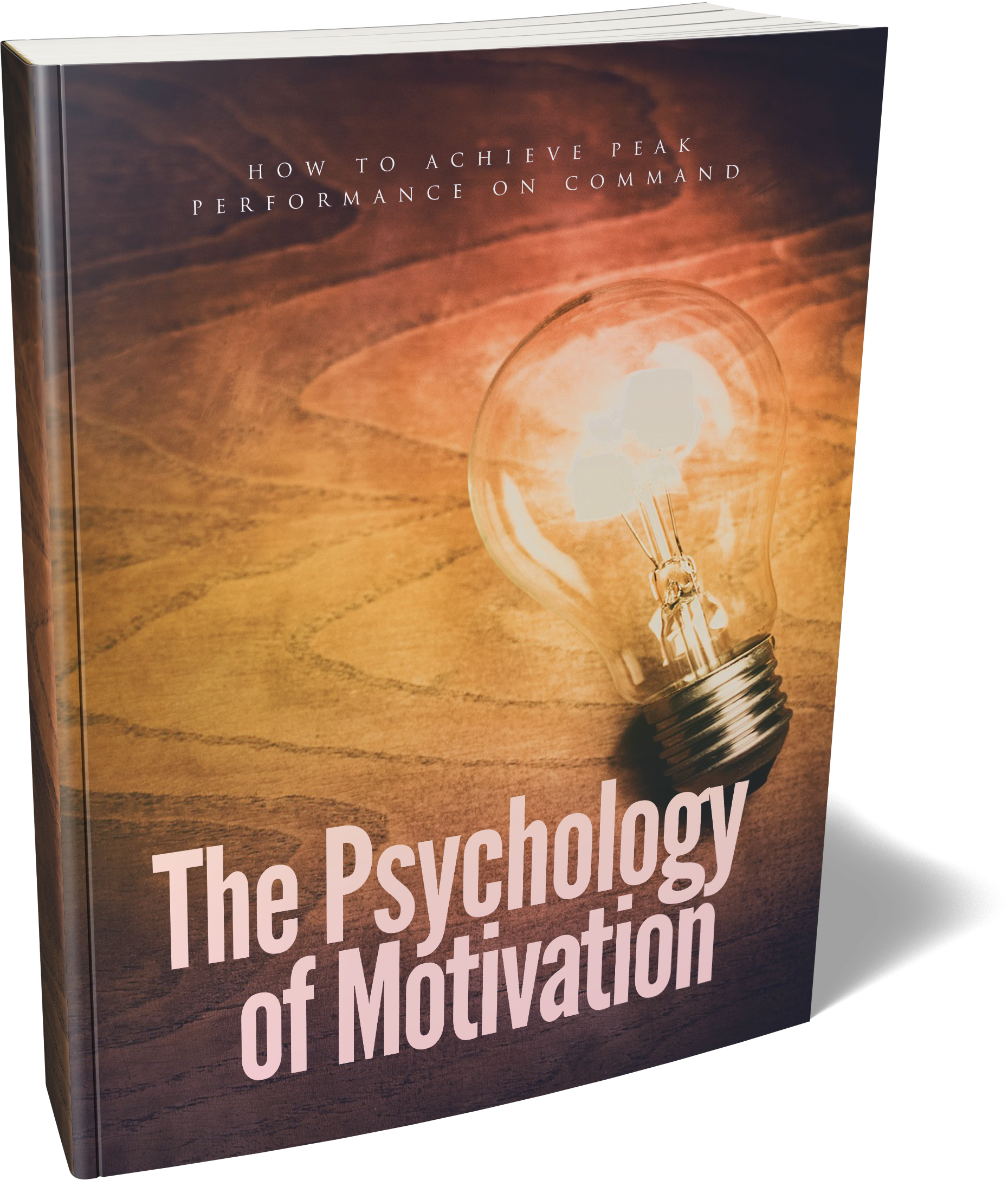 The Psychology Of Motivation