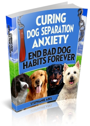 Dog Cure Book