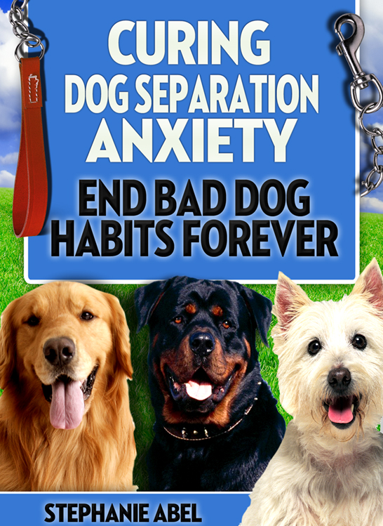 Curing Dog Anxiety Book Cover