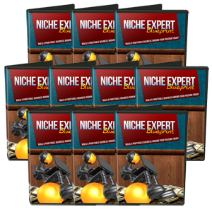 Niche Expert Blueprint