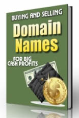 Buying and Selling Domain Names (PLR)